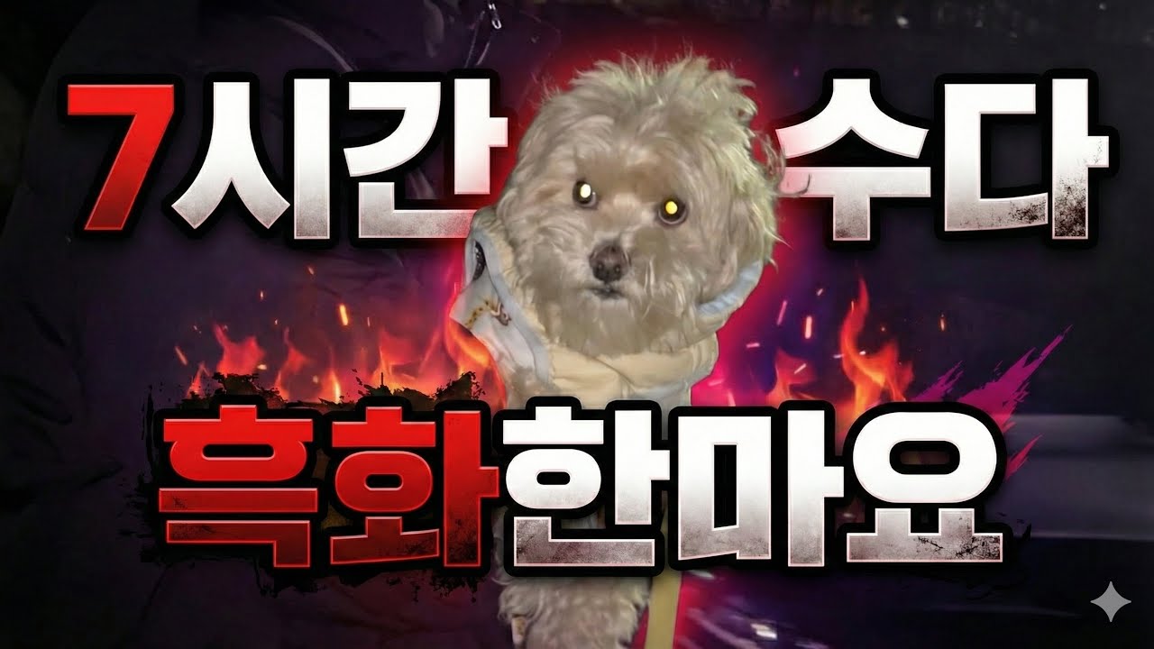 누나들 때문에 기쪽빨린 마요 보러오세요 