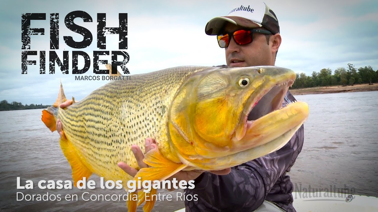 Casa de gigantes! Pesca de Dorados en Salto Grande | Fish Finder cap#8