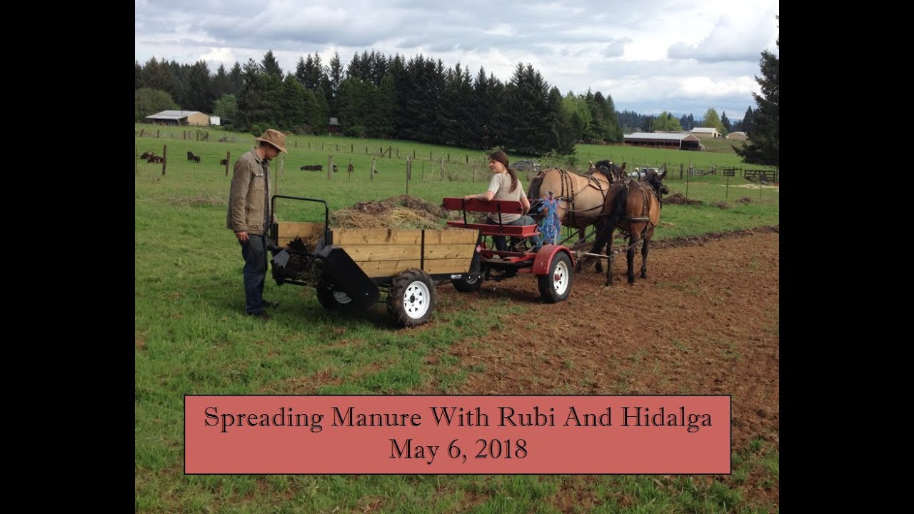 Spreading Manure With Rubi And Hidalga - May 6, 2018