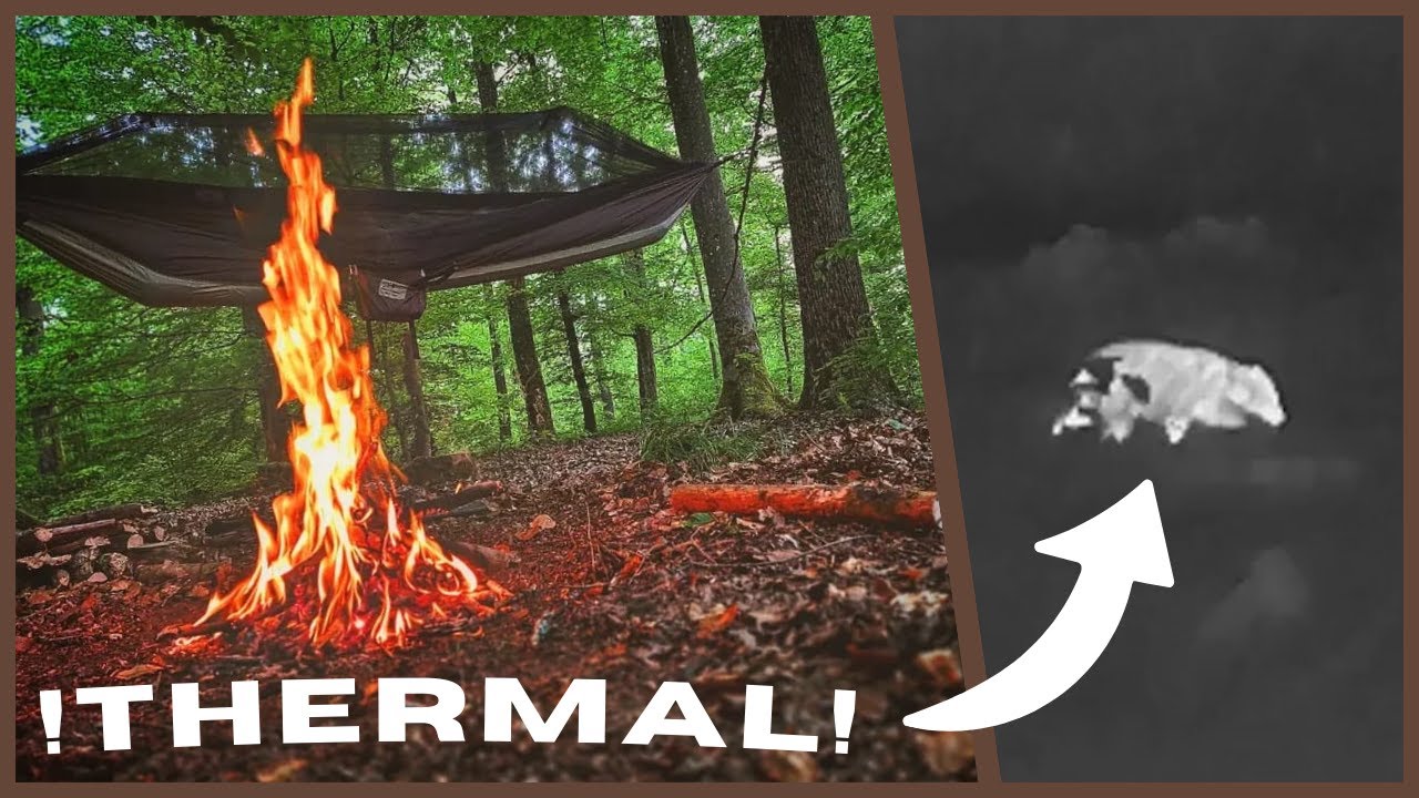Nächtlicher Besuch!! Forest-Biwak mit Wärmebildgerät | Kaber
