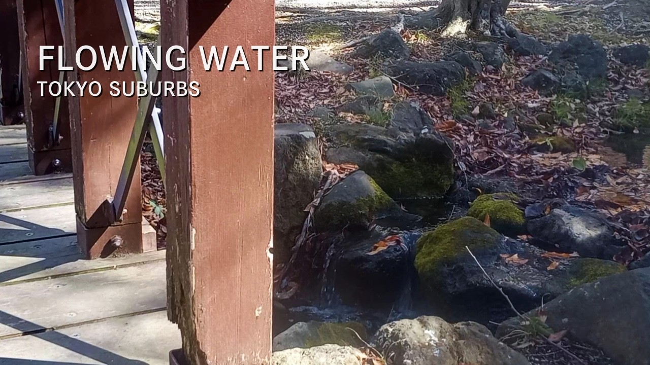 You Are Here – Windy Stream in Japan | 31 Minutes Real Sound