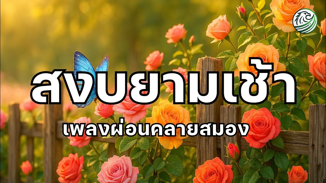 สงบยามเช้า เริ่มต้นวันด้วยความสงบใจ เพลงบำบัดความเครียด เพลงผ่อนคลายยามเช้า relaxing morning music