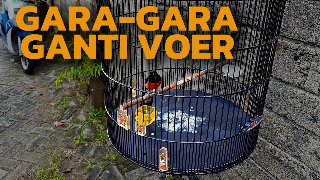 TENTUNYA PUNYA ALASAN UNTUK GANTI VOER