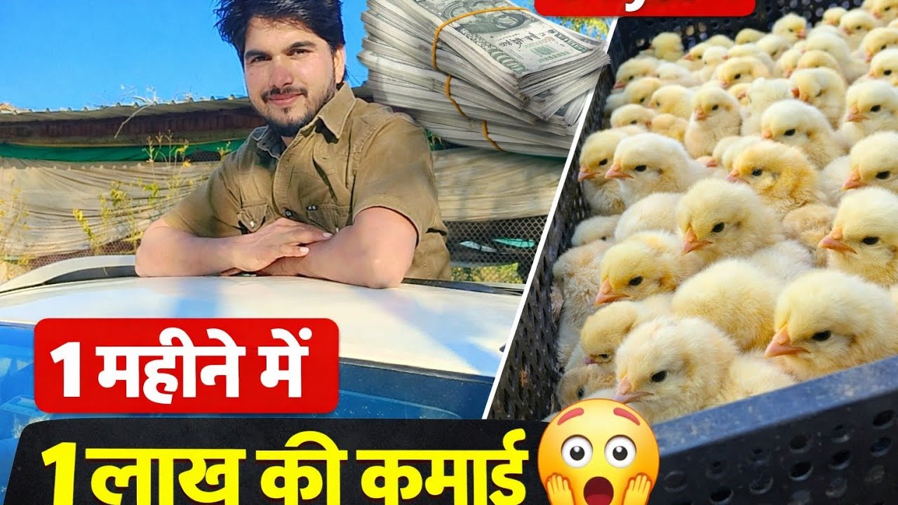 👉 Title:Day 05🐥 | 1 महीने में 1 लाख की कमाई 😱 | Chicks से कमाई का सच🔥