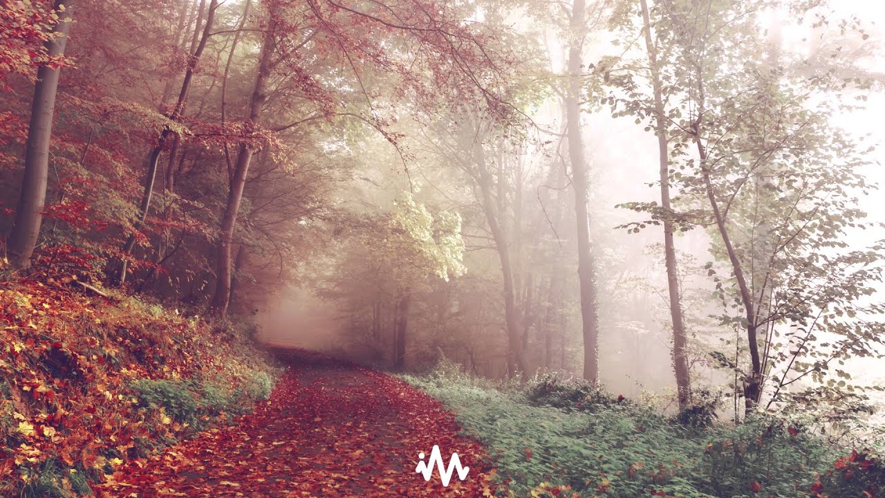 ILIVEHERE. - For Nel