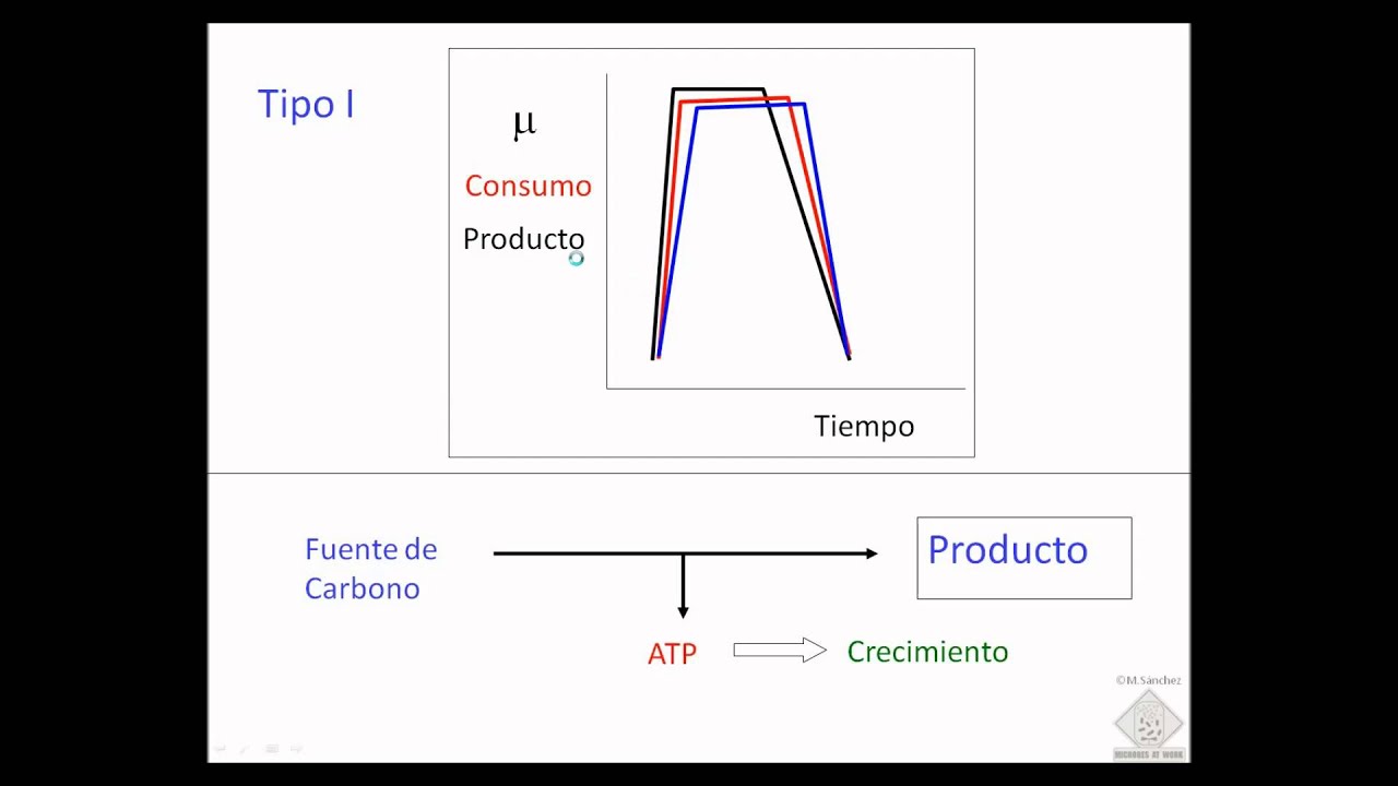 umh1399 Lec002-6 Fermentaciones y Crecimiento