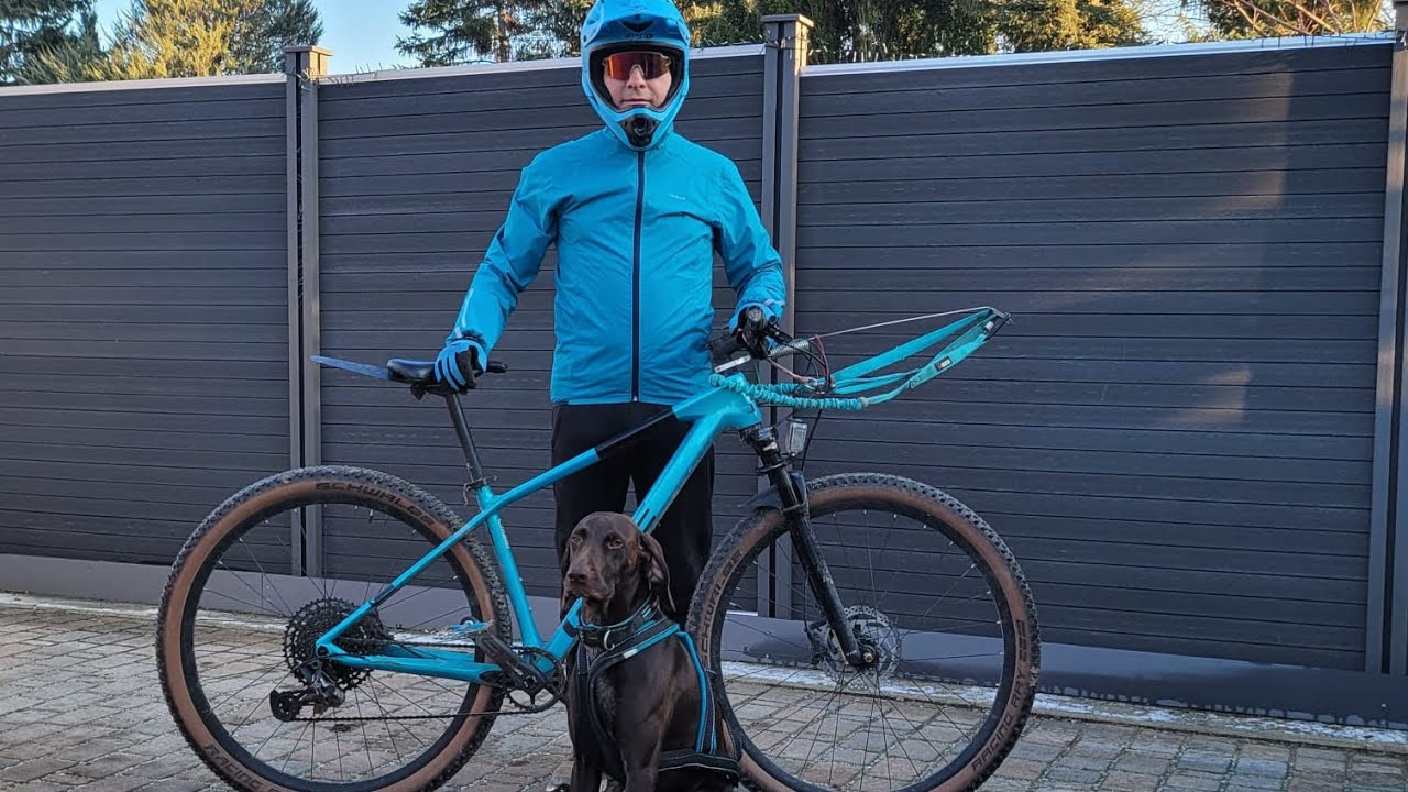 Unser schönster Single Trail 🥰#bikejöring #canicross 