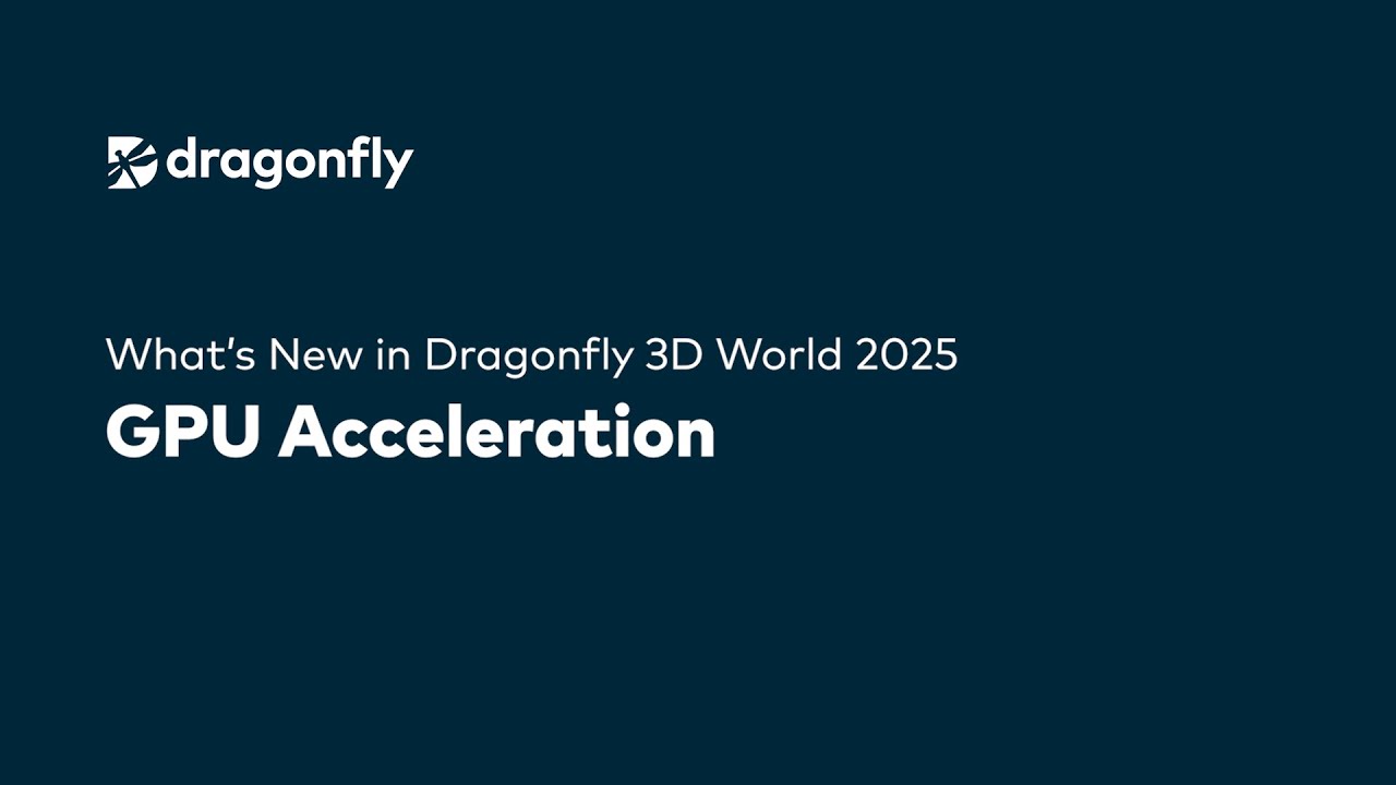 Accelerate Image Processing with Dragonfly 3D World’s GPGPU Framework