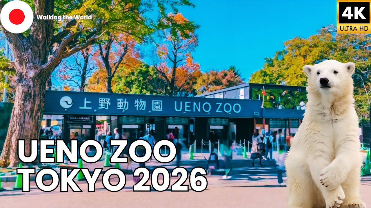 Ueno Zoo Tokyo 2026 🇯🇵 | 4K Walking Tour Inside Japan&rsquo;s Famous Zoo