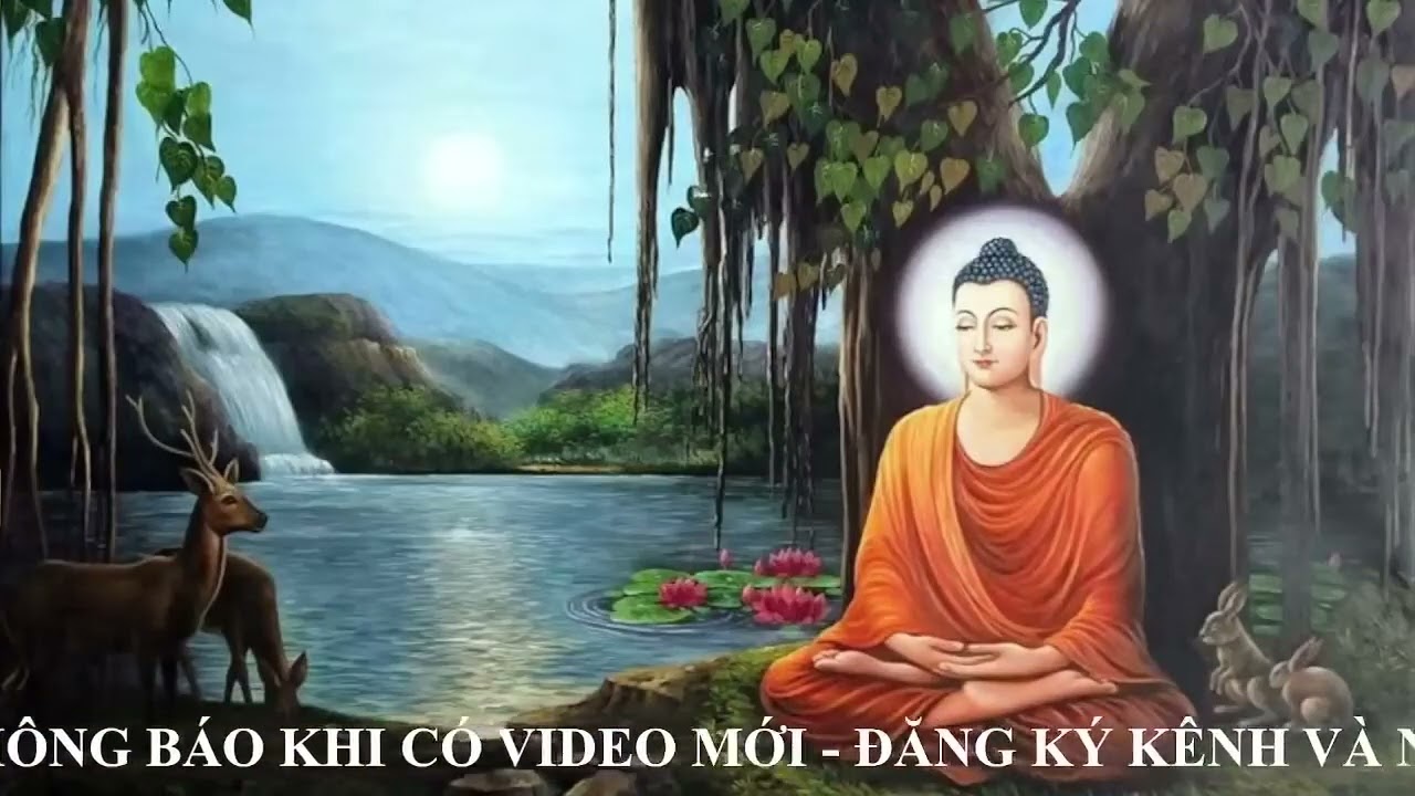 Nhạc Thiền Tĩnh T&acirc;m   8 giờ Bu&ocirc;ng Bỏ Mọi Phiền N&atilde;o Ưu Tư Ở Đời Để T&acirc;m Hồn An Lạc Thảnh Thơi