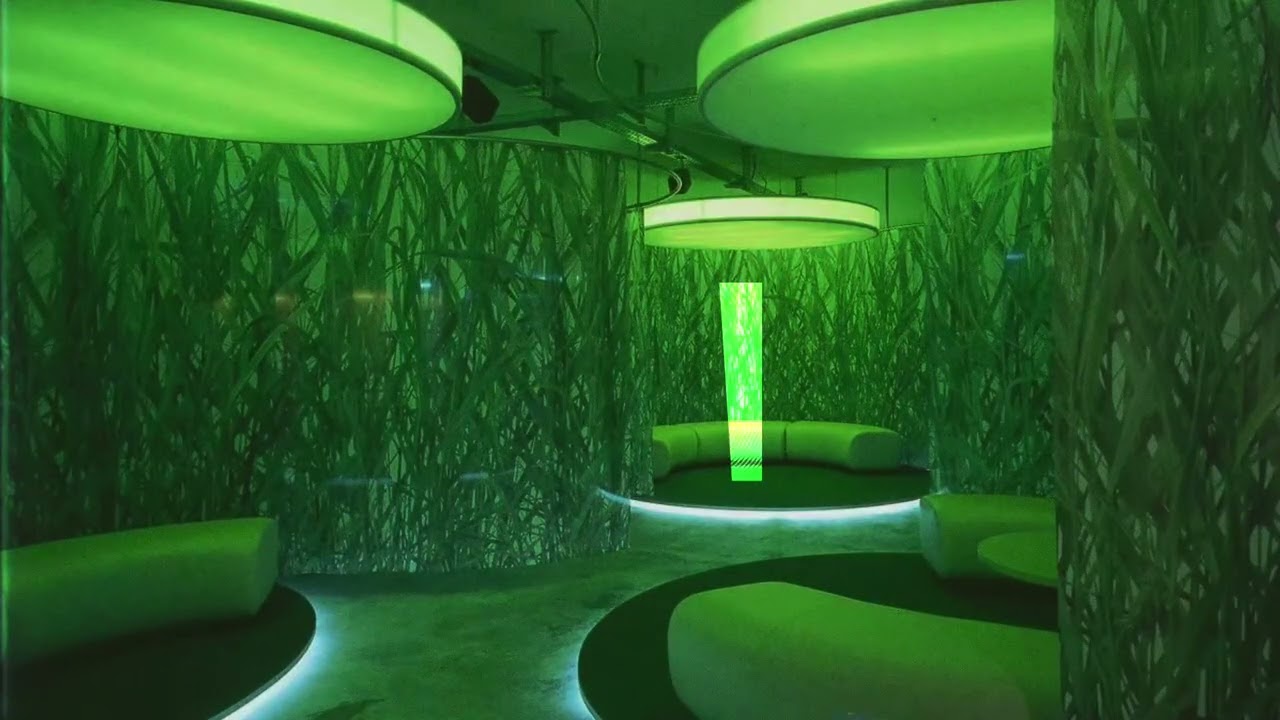 Rainforest Room - longmix
