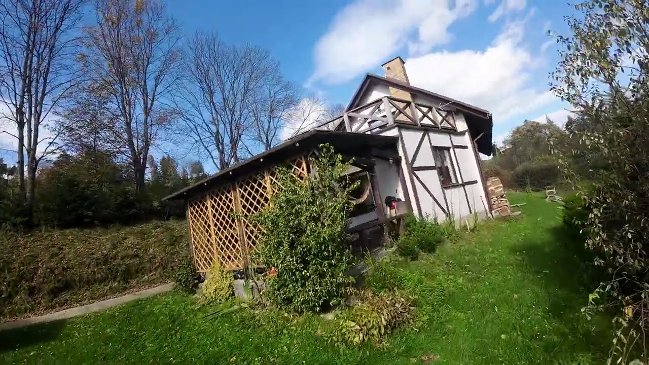 Pavo 20 pro DJI O3 org VTX