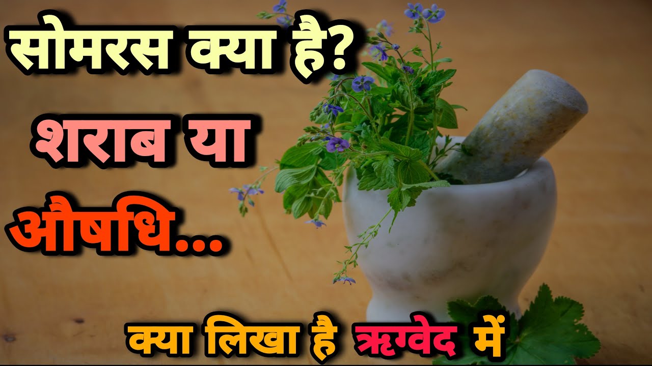 सोम रस क्या है ? जानिए इससे जुड़े कुछ रोचक तथ्य। Som Ras Kya Hai? (ऋग्वेद)।।