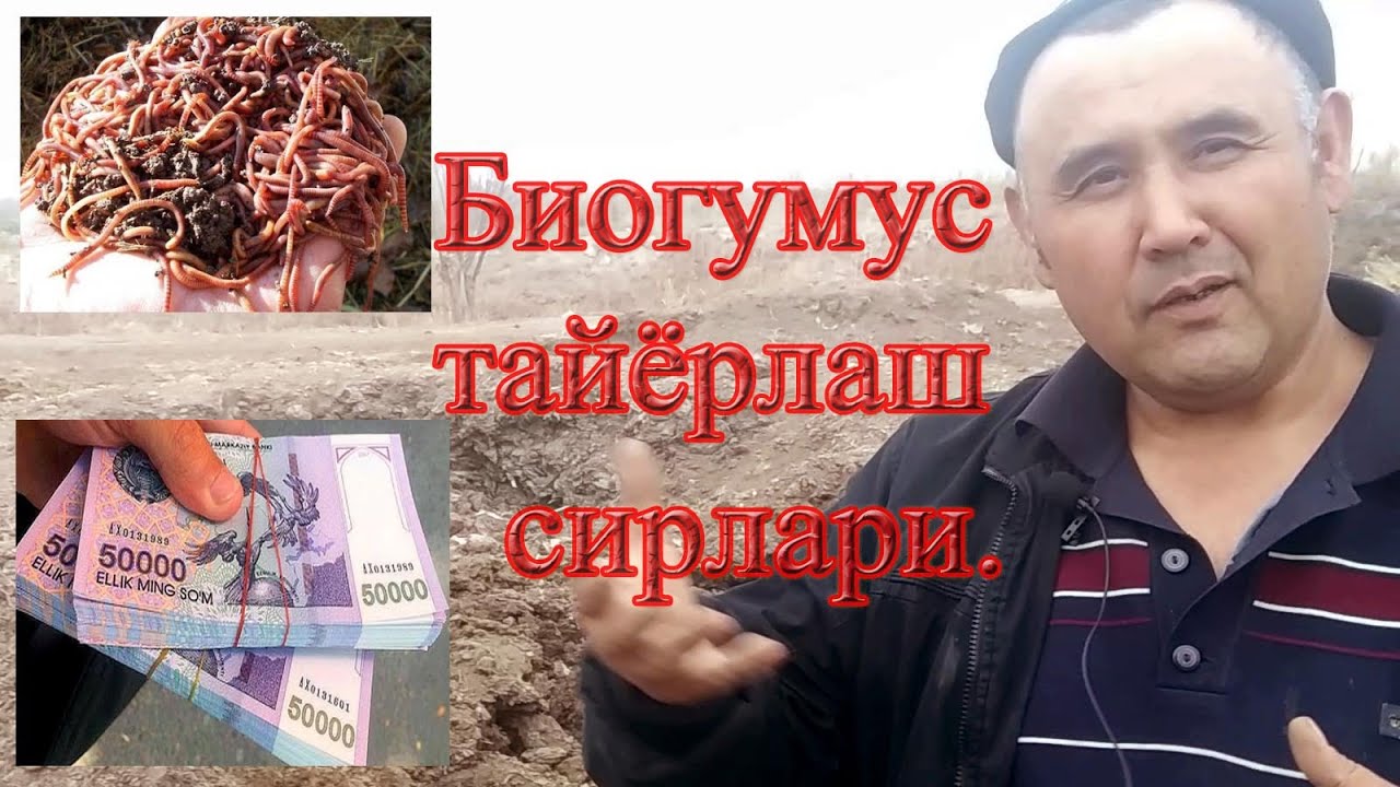 БИОГУМУС ТАЙЁРЛАШ СИРЛАРИ.БЎЙИЧА МАСТЕР КЛАСС ДАҲШАД ДАРС