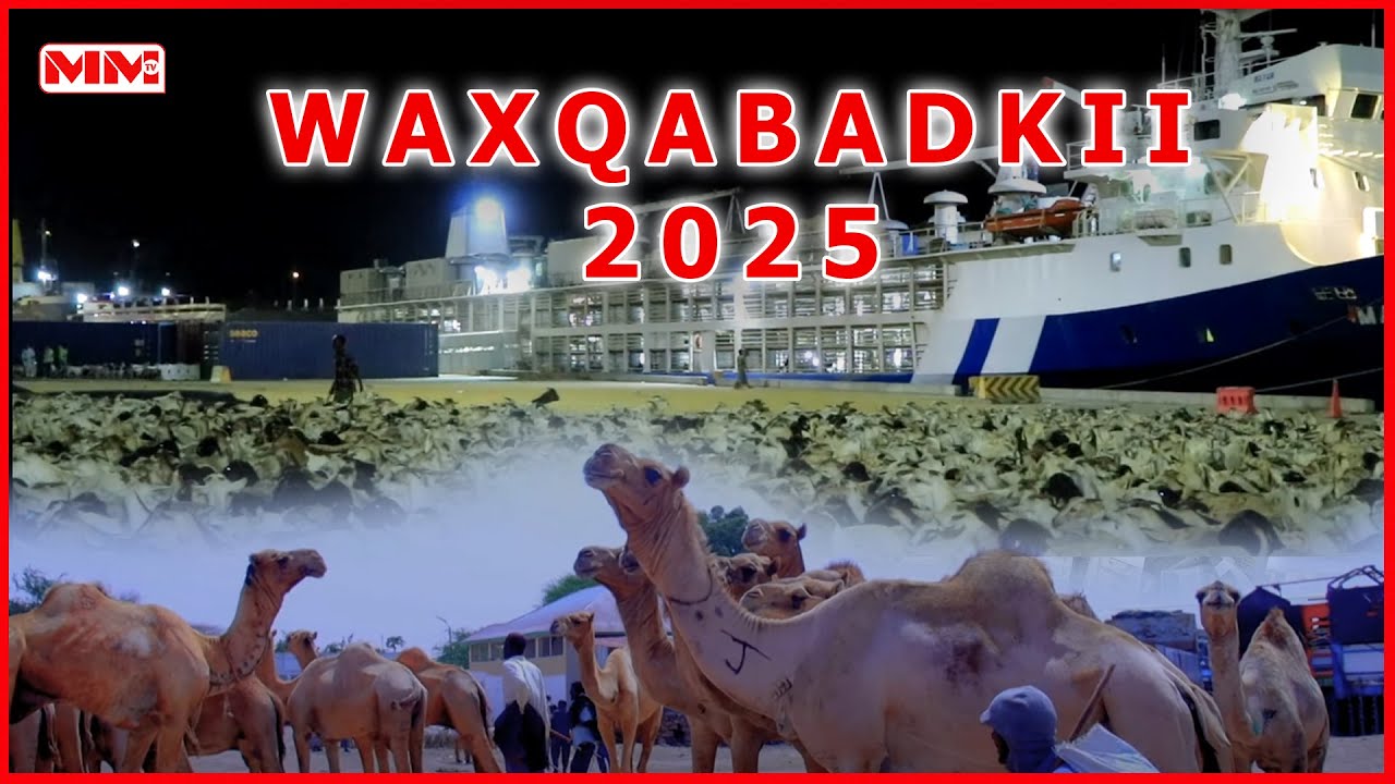Wasaaradda Xanaanada Xoolaha JSL  oo soo bandhigtay Wax-Qabadkii 2025.