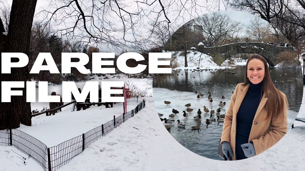 Central Park coberto de neve + Café da Louis Vuitton + MET!