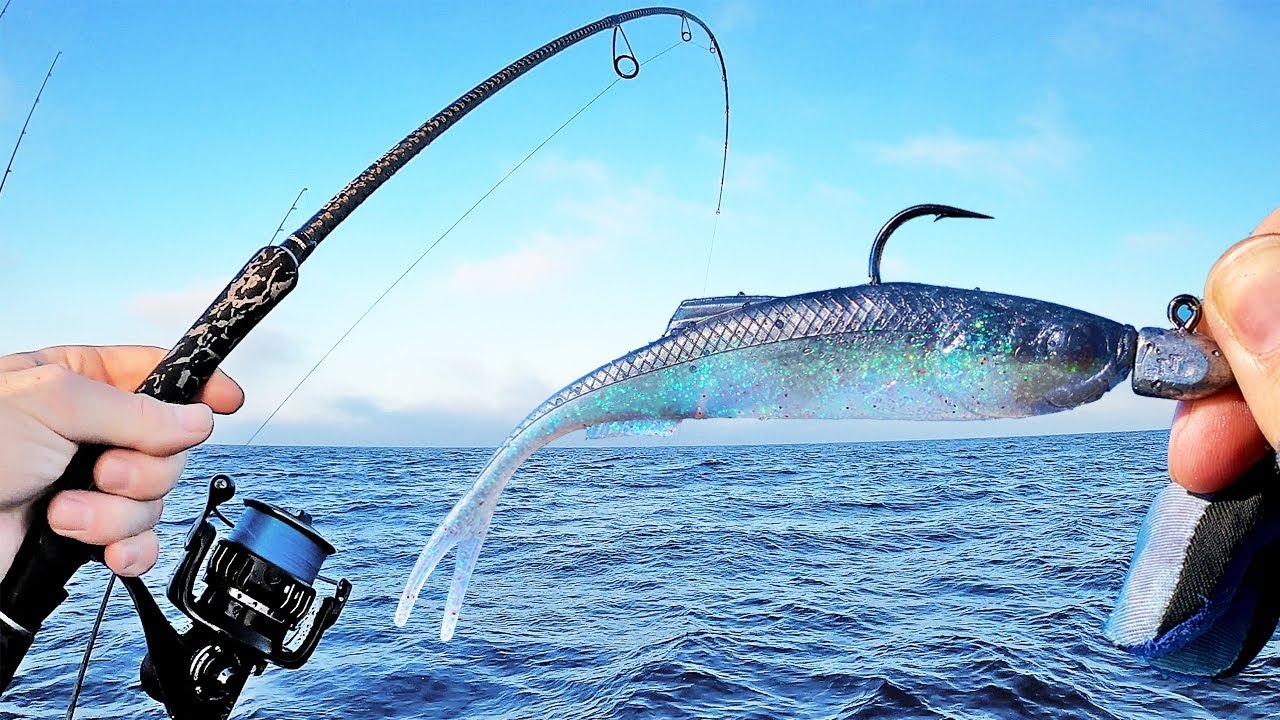 Soft-baiting for Snapper + Squid session! (Catch and Clean)