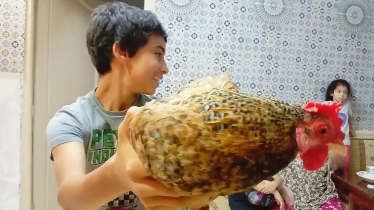 كنت محضرتلكم مفاجأة أما حرقتها في فيديو اليوم🥴فتقت مواهبي وصنفت مالمالح للحلو حتى انا عندي مدة عليهم