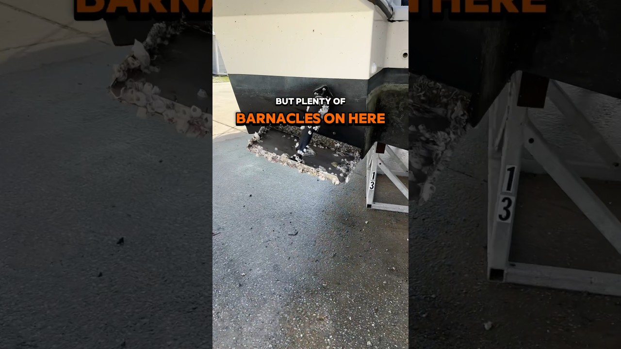 Removing #barnacles  from Our Dry Docked Jeanneau 1095