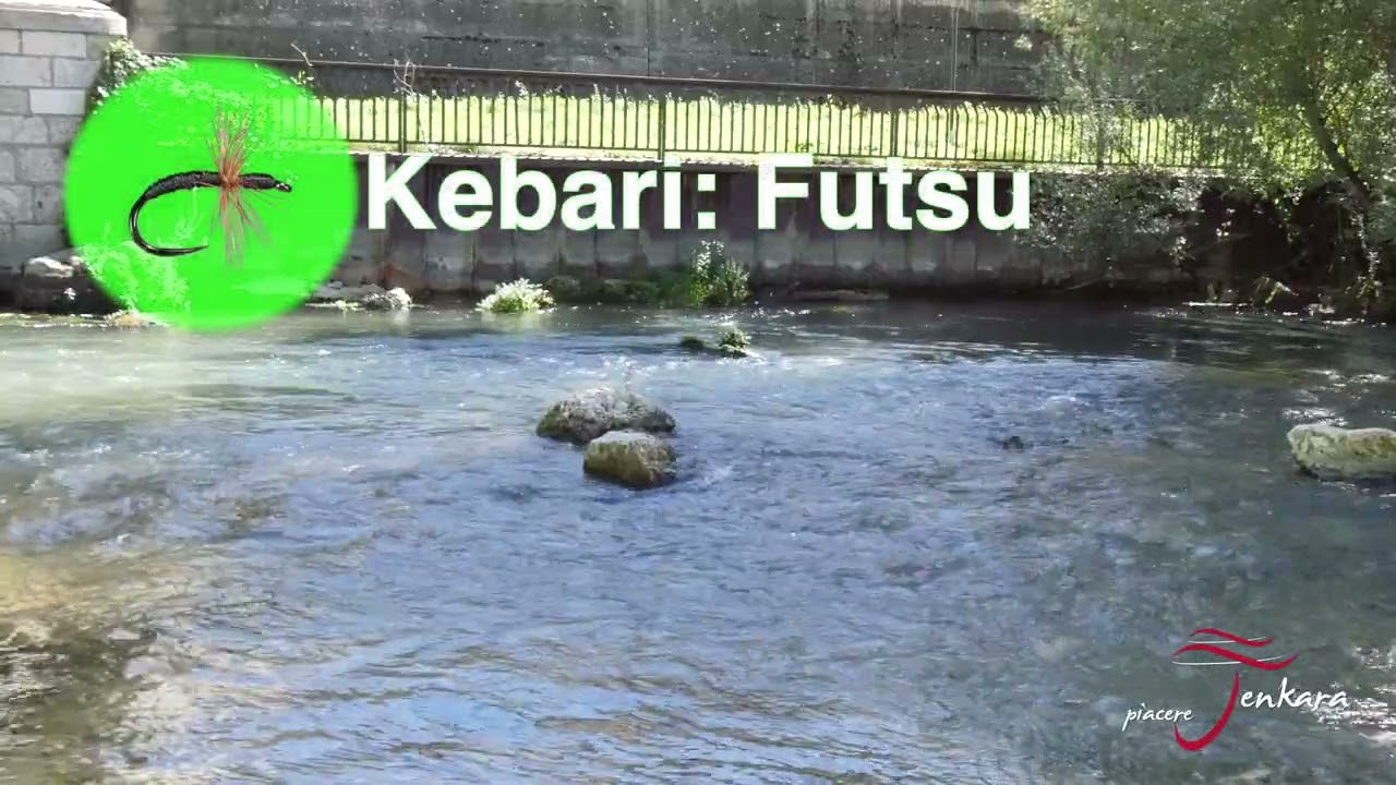 Videocorso di Tecnica Tenkara - ep. 10   Strategie di pesca   Spot 4