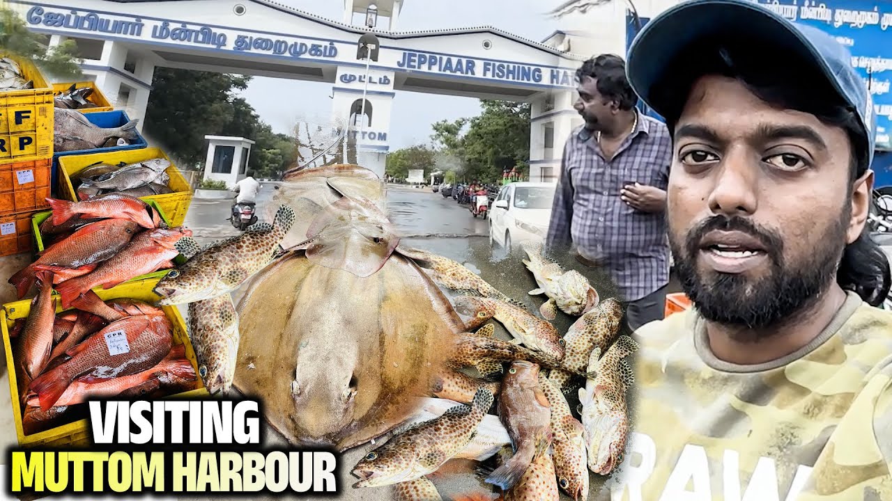 DAD vs SON at Jeppiaar Muttom Harbour Fish Market !!
