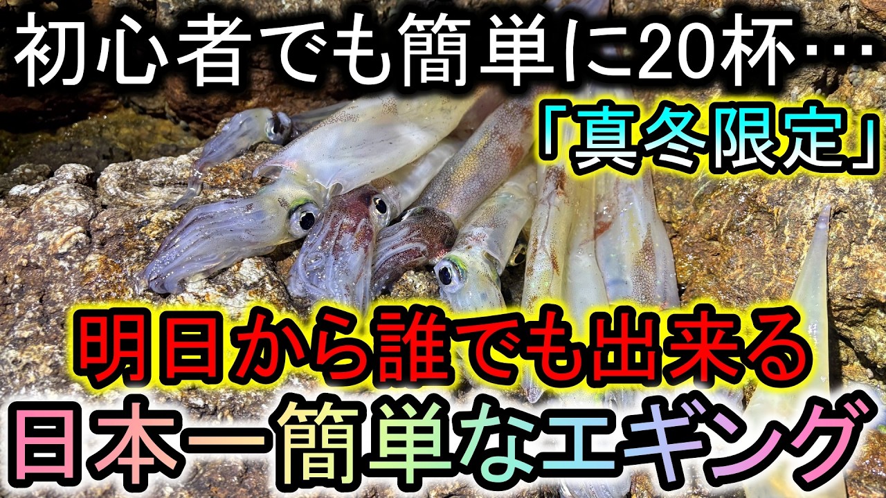 初心者でもたった2時間で20杯以上イカが釣れる「真冬限定エギング」を教えます