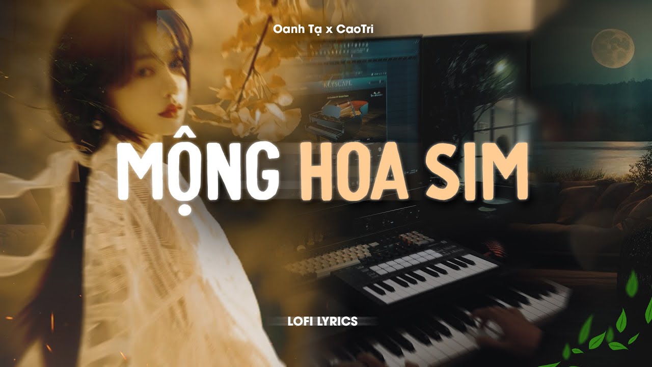 Mộng Hoa Sim (Lofi Acoustic) - Oanh Tạ x CaoTri
