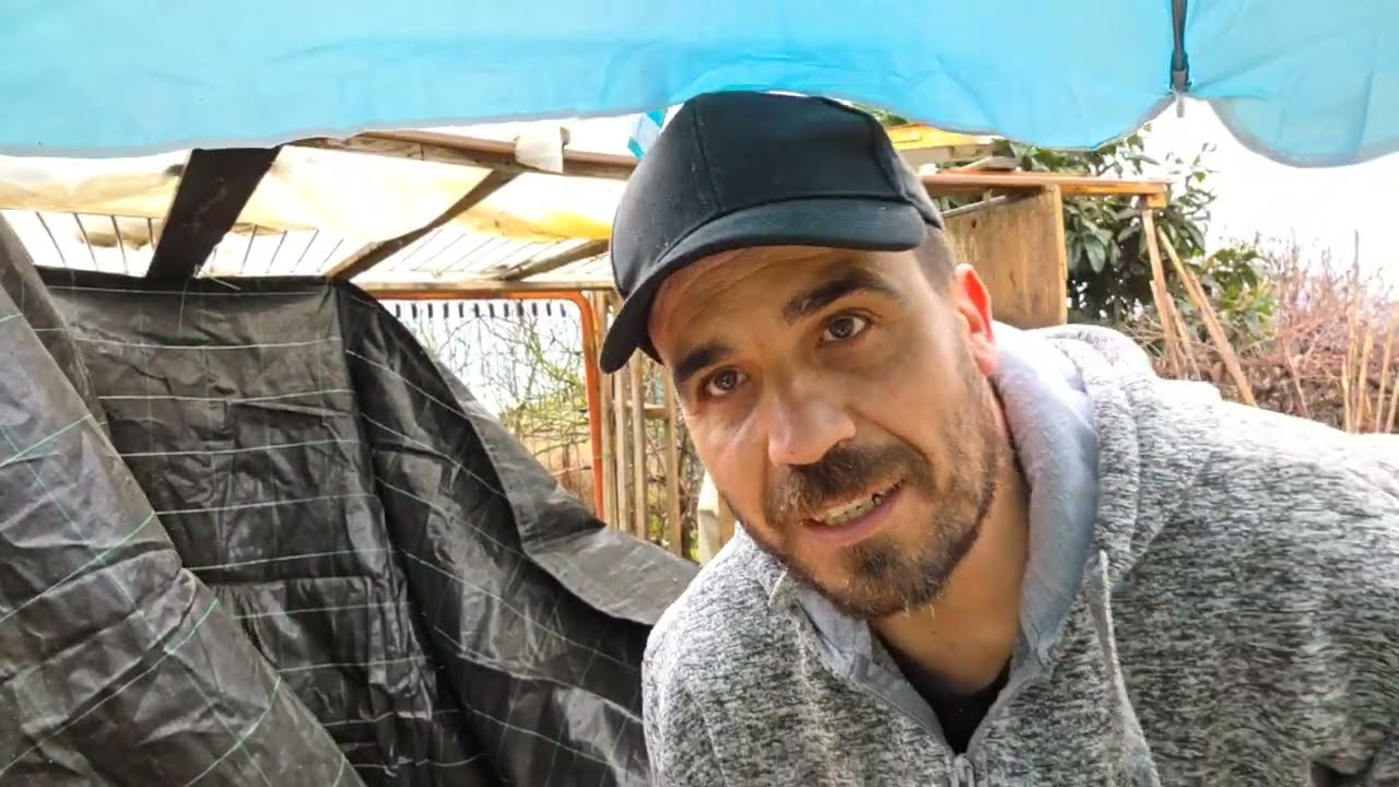 Construyendo bajo la tormenta ⛈️ | Diario de mi huerto [Directo de Twitch]