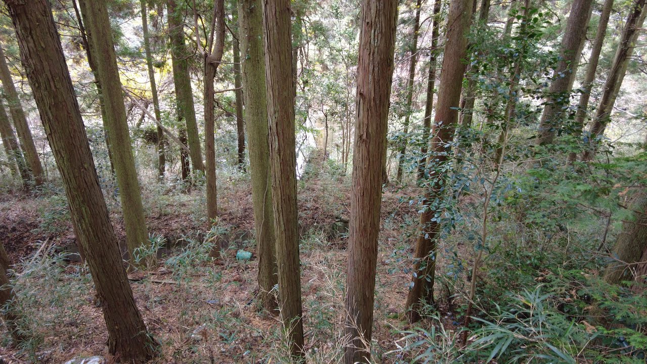 雲林院井堰、googleマップ上で気になったスポット(67)