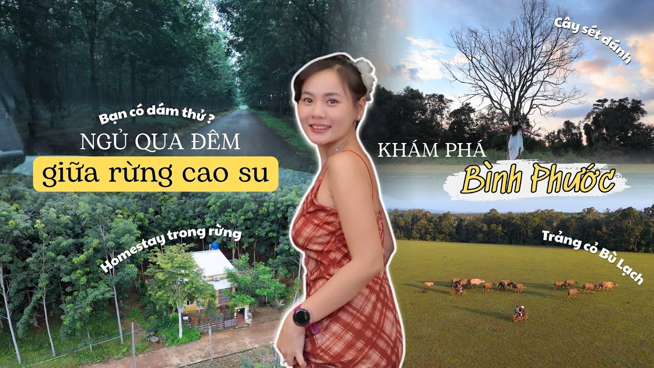 Du Lịch Bình Phước - Ở Giữa Rừng Cao Su, Thăm Sóc Bom Bo Và Trảng Cỏ Bù Lạch | Hành Trình Xuyên Việt