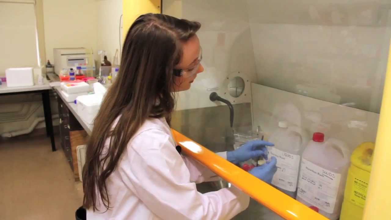 Science Talented Student Program at the University of Sydney