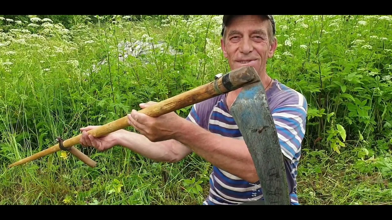 2.07.2024 год : деревня