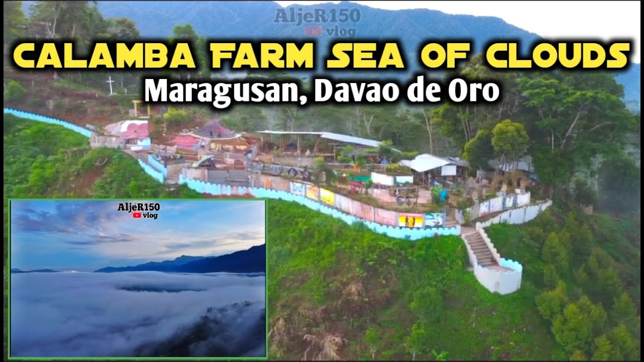 Sea of Clouds | Calamba Farm | Maragusan de Oro