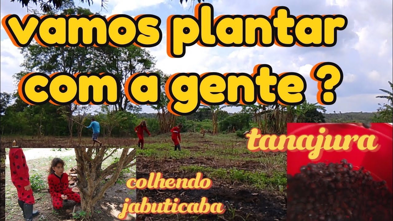 Dia de plantação na roça .... Bora junto com a gente 🙂😀. 