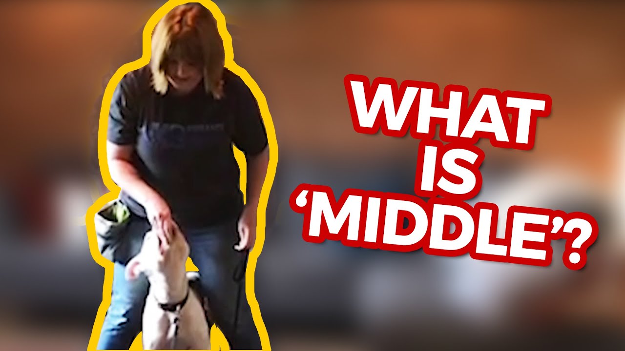 What is a dog 'middle'?