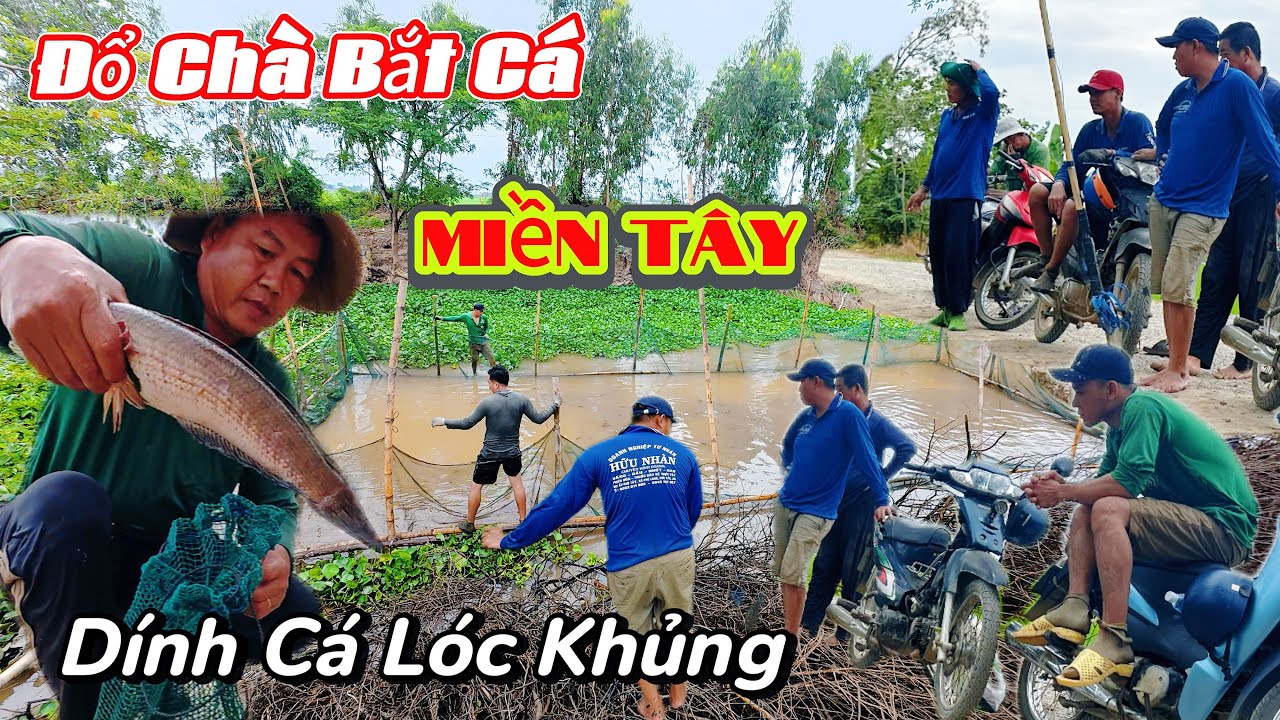Hết Hồn Con Cá Lóc 2kg | Kéo Chà Lên Cá Chốt Nhiều Không Kể Hết.