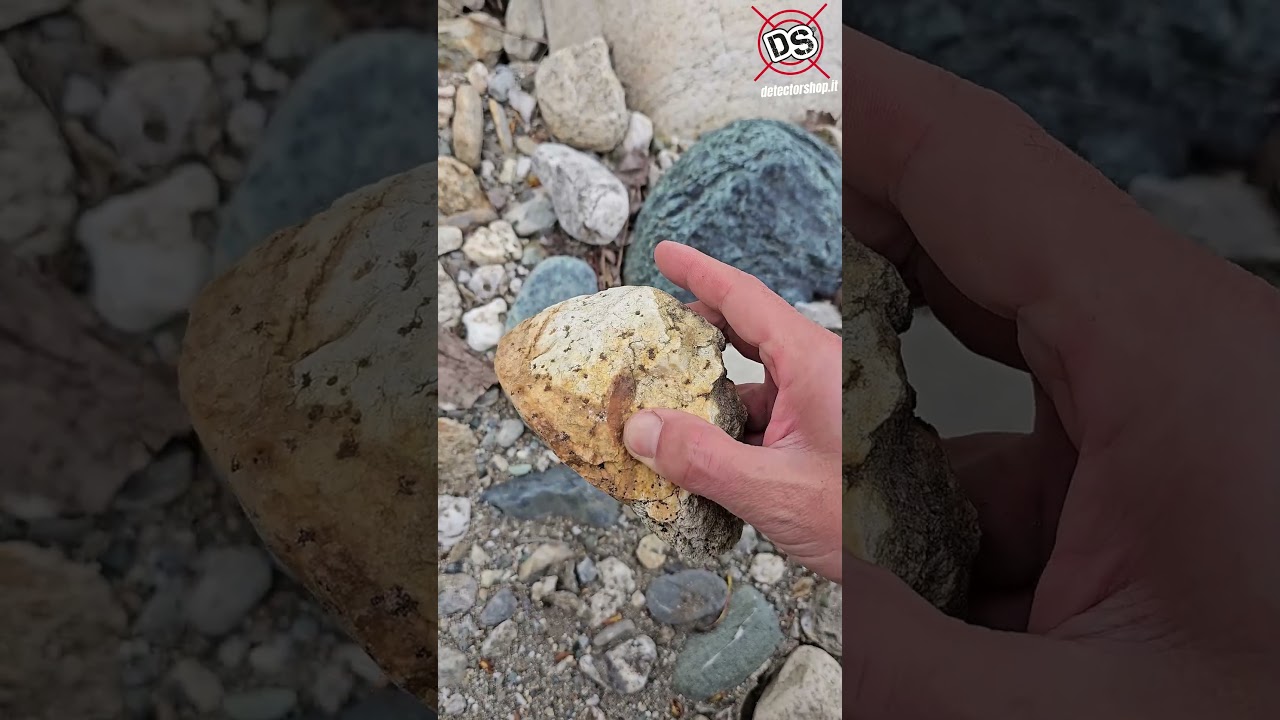 Matteo finds gold on the river with the Garrett rig #goldprospecting #gold #metaldetecting