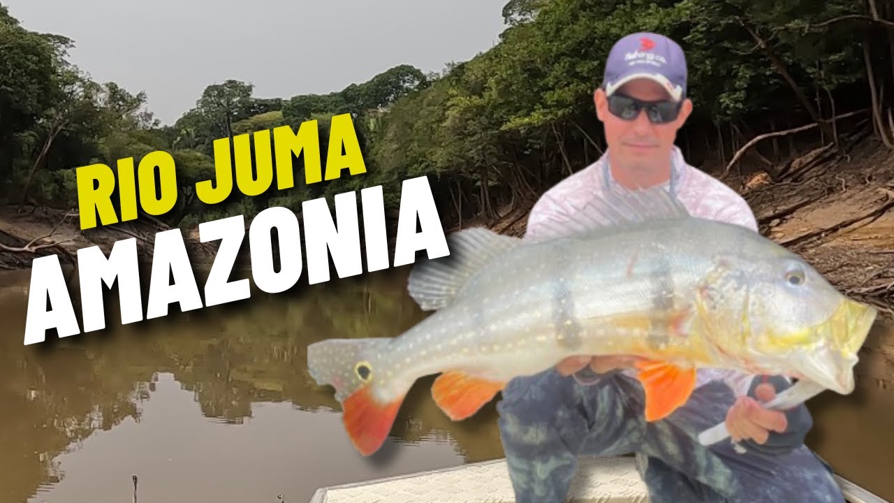 RIO JUMA - AMAZÔNIA - POUSADA TOCA DO AÇU