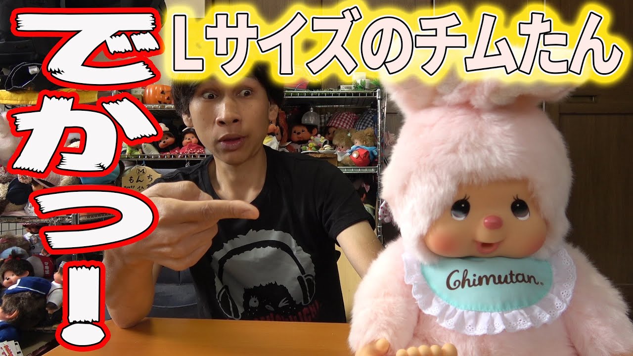 Lサイズのチムたん紹介！【モンチッチシリーズ#99】