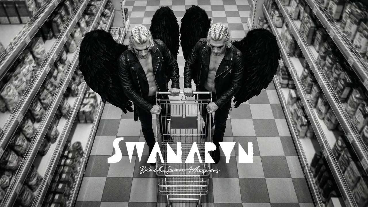 Insufficient Funds – Swanaryn | Official Audio (Funny Money Song)