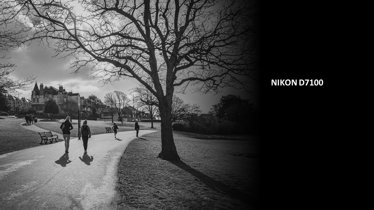 The D7100 | NIKON's DSLR APS-C Powerhouse