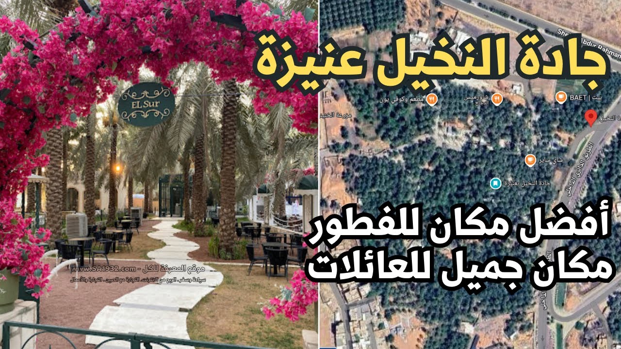 جادة النخيل بعنيزة - مكان كله مطاعم وكافيهات بين النخيل