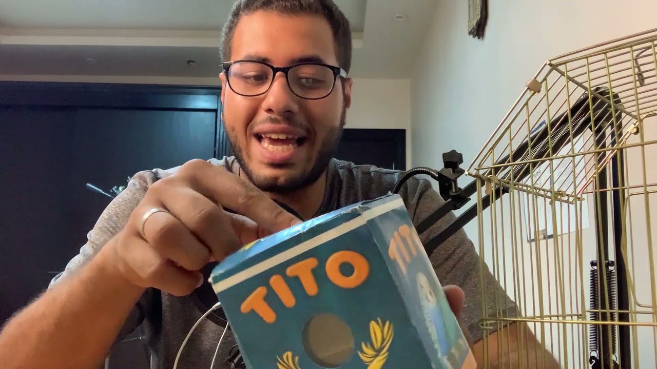 اشتريت اصغر ببغاء في العالم من سوق الجمعة بالسيدة عائشة (نقلته للقفص امام الكاميرا )