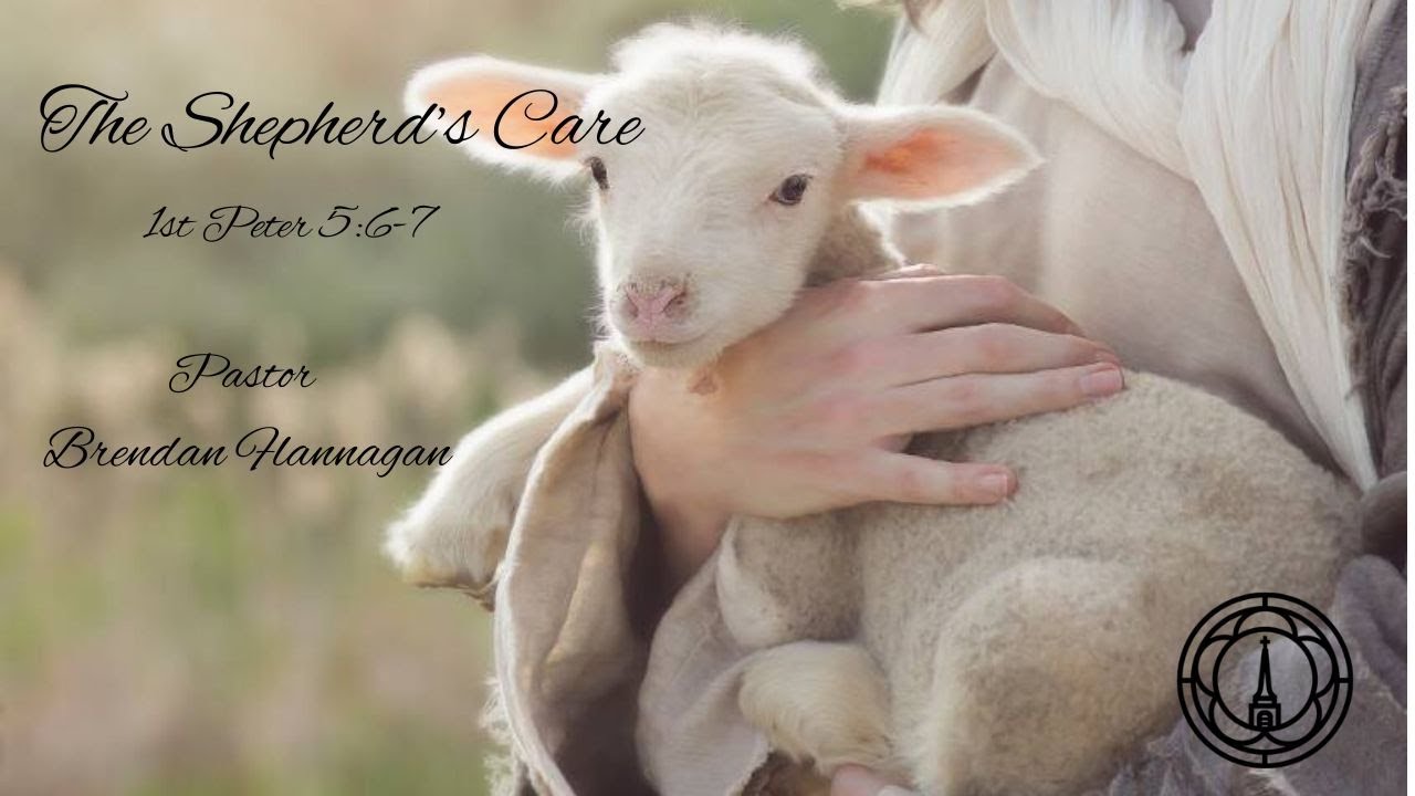 The Shepherd's Care