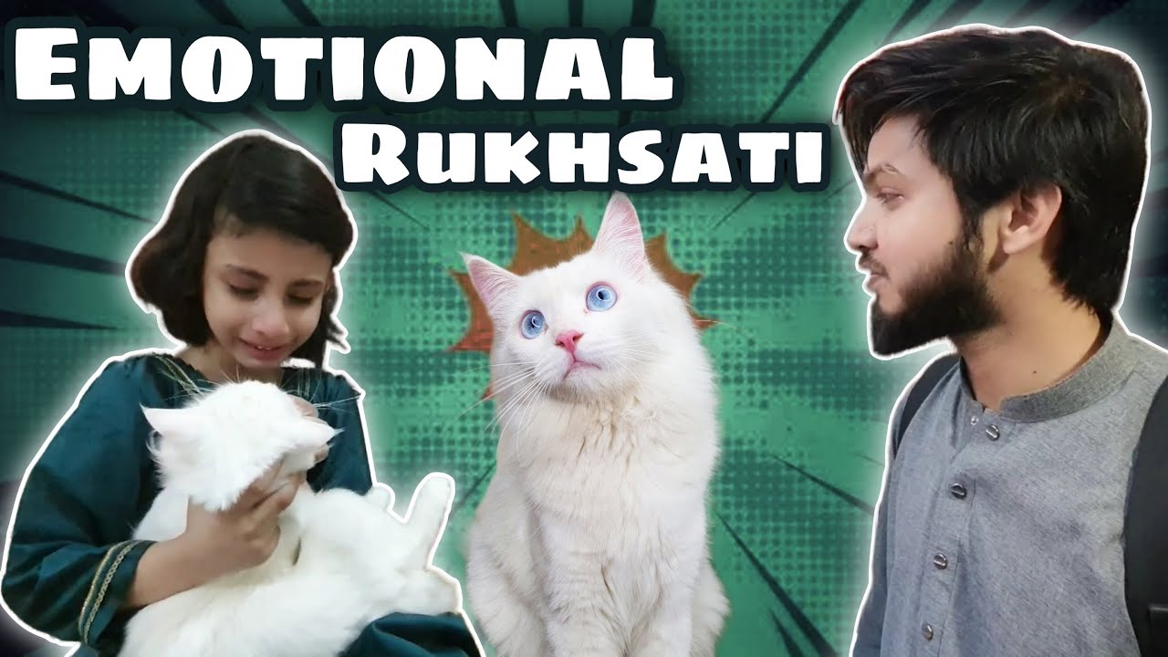 Hamari Kitten Jiji Aur Angela ki Emotional Rukhsati | Daily Vlog | Karachi Pets Market | Funtairians