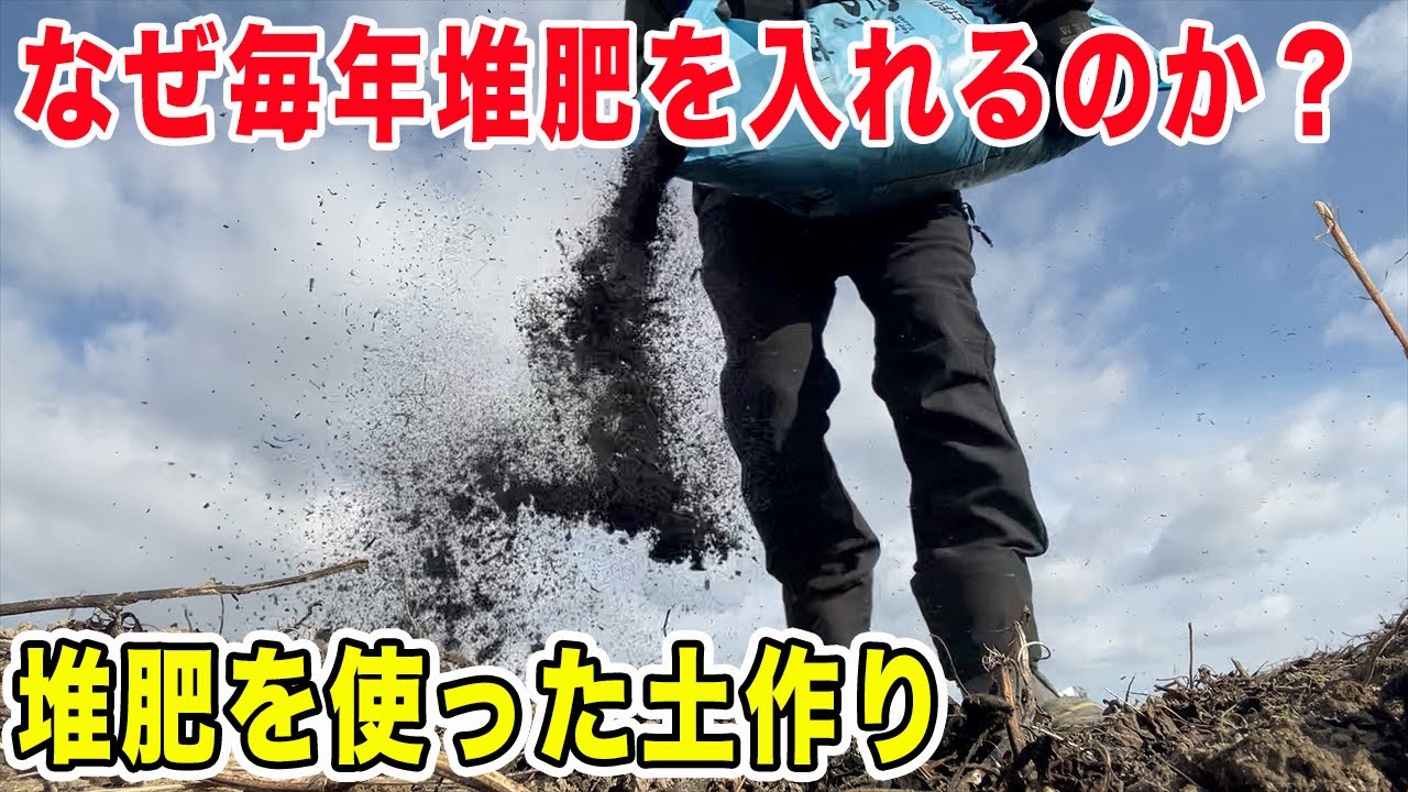 堆肥は1年で10分の1に減ります　土作りは継続が大事