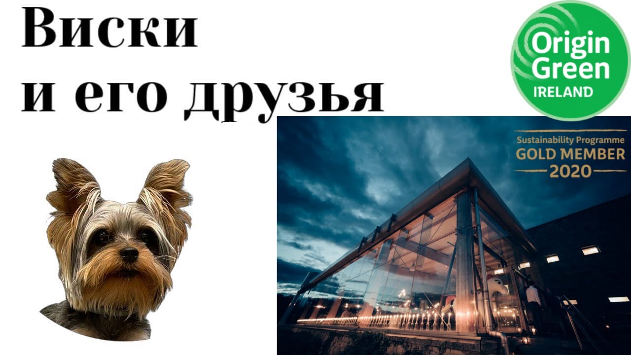 Знакомство с Ирландской винокурней - Boann