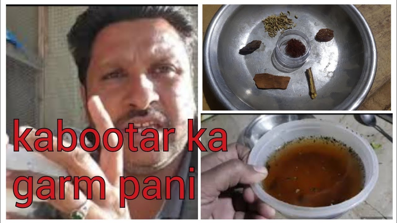 kabootar ka garm pani.