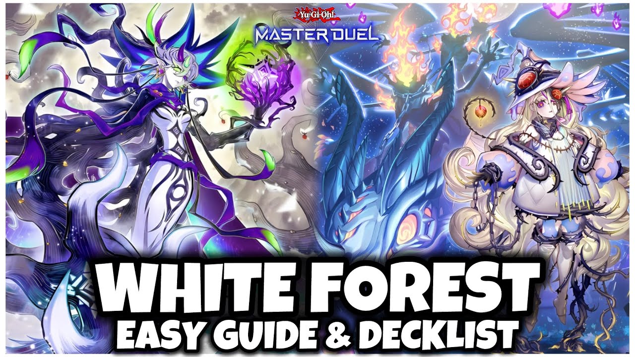 UPDATED | WHITE FOREST AZAMINA | EASY GUIDE & DECKLIST!