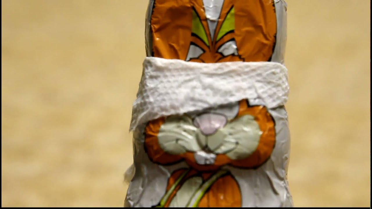 aarons reesterbunny